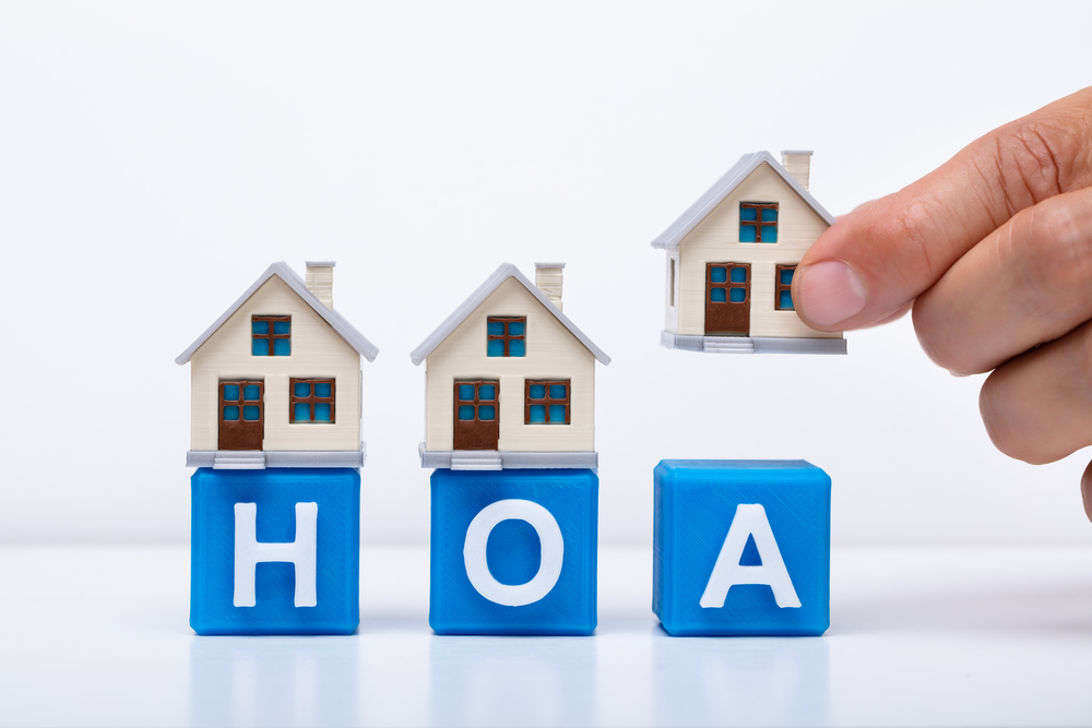 Home  Alpha Association